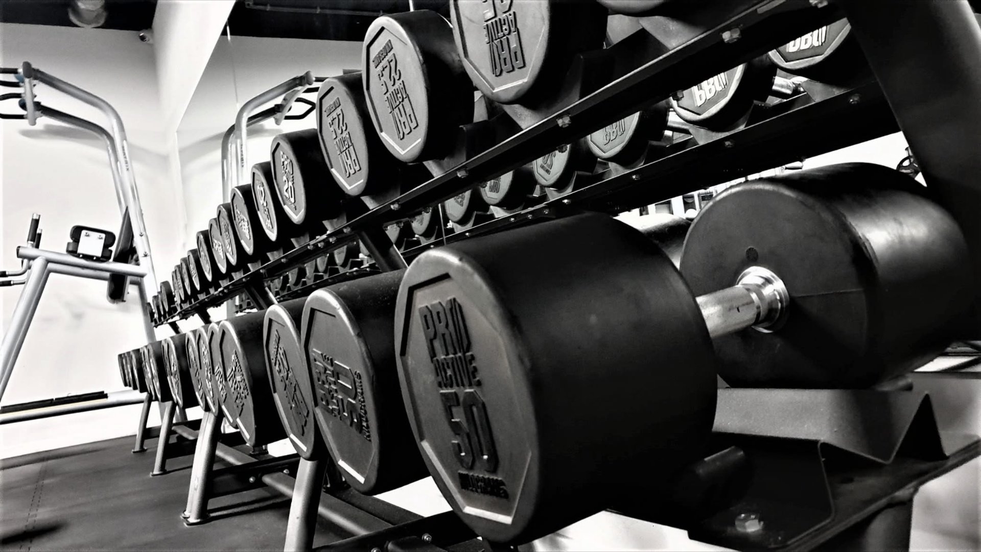 Rack z hantlami w Dobrzyński Gym & Fitness